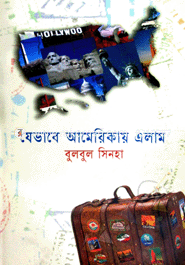 যেভাবে আমেরিকায় এলাম