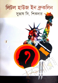 Little House in Bruklin image