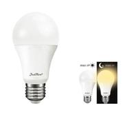 jadroo Microwave Sensor LED Light - 9 Watt E-27 image