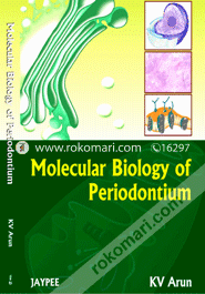 Molecular Biology of Periodontium (Paperback) image