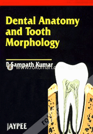 Dental Anatomy and Tooth Morphology (Paperback) image