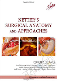 Netters Surgical Anatomy And Approaches image
