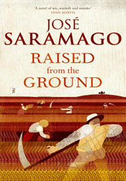 Raised from the Ground image