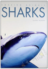 Sharks image