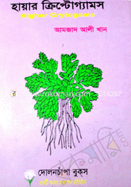 Hire Crypto Games - B.S.C Hons 1st Year image