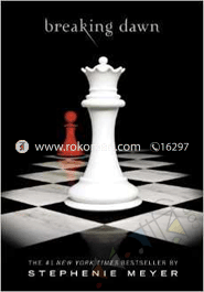 Breaking Dawn image