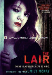 The Liar image