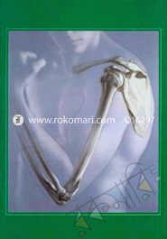 Human Anatomy image