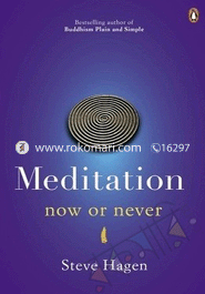 Meditation Now or Never image