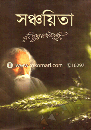 Sonchoyita image