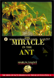 The Miracle In the Ant image