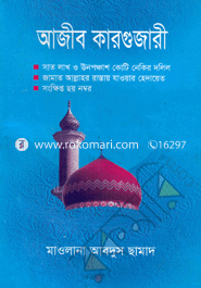 Ajib Kargujari image