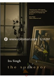 The Surveyor image