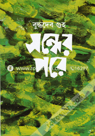 Sondher pore image