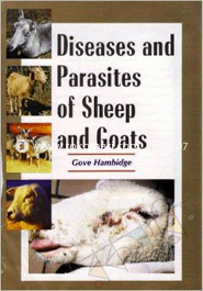 Diseases image