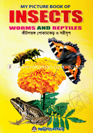 My Picture Book of Insects image
