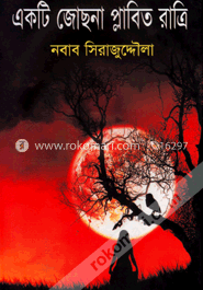 একটি জোছনা প্লাবিত রাত্রি image