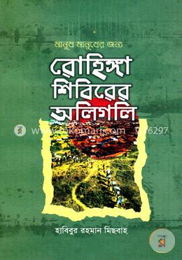 রোহিঙ্গা শিবিরের অলিগলি image