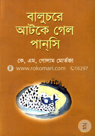 বালুচরে আটকে গেল পান্‌সি