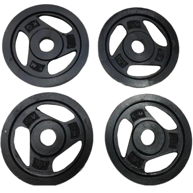 1.25kg Weight Plate - Black - 4 Pcs image