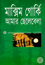 আমার ছেলেবেলা image