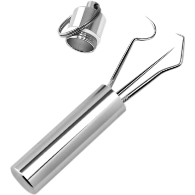 1 Set Toothpick Set Metal Stainless Steel Oral Cleaning Tooth Flossing Portable Toothpick Floss Teeth Cleaner with Storage Tube image