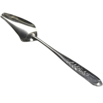 1pcs Feeding Spoon Bird Parrot Feeding Spoon /Stainless Steel Water Milk Powder Feeder Spoons/ bird accessories image