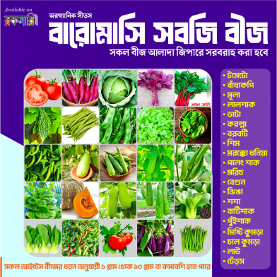 20-Variety Organic Seed Combo Pack for Gardening - Tomatoes, Cucumbers, Peas, Squash, and More image