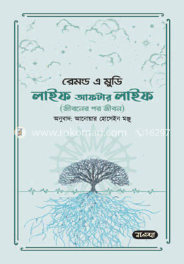 লাইফ আফটার লাইফ image