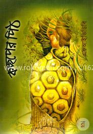 কচ্ছপের পিঠ image