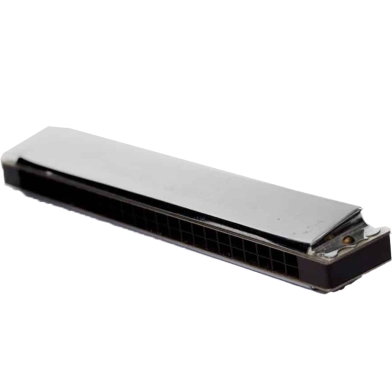 24 Hole Key Of C Play Harmonica Tremolo Harmonica Mouth Organ Double Row Blues (Any Colour). Slide 1