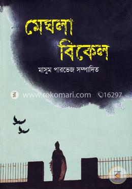 মেঘলা বিকেল image