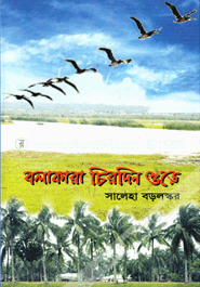 বলাকারা চিরদিন ওড়ে image
