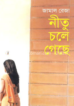 নীতু চলে গেছে image