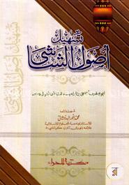 তাসহিলু উসুলিশ শাশী image