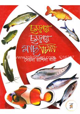 ছড়ায় ছড়ায় মাছ চিনি