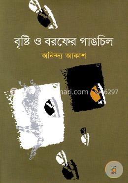 বৃষ্টি ও বরফের গাঙচিল 