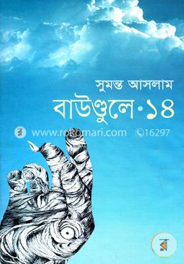 বাউণ্ডুলে-১৪ image