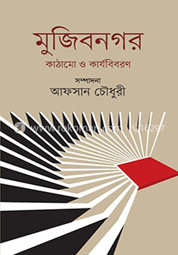 মুজিবনগর : কাঠামাে ও কার্যবিবরণ
