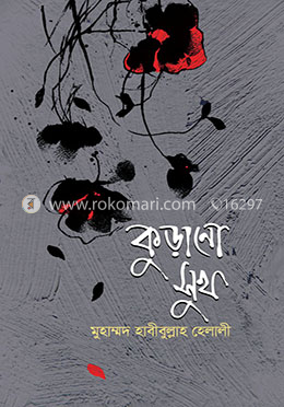কুড়ানো সুখ image