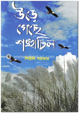 উড়ে গেছে শঙ্খচিল image