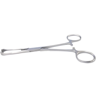 410 Grade Stainless Steel Allice Tissue Forceps image