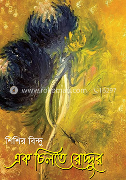 এক চিলতে রোদ্দুর