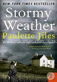 Stormy Weather: A Novel