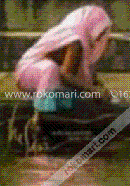 The Sari  