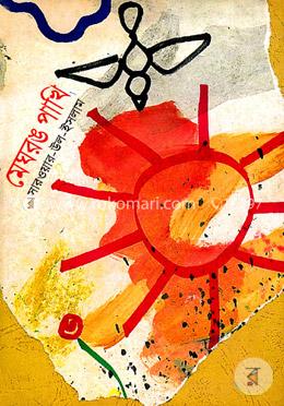 মেঘরঙ পাখি image