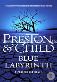 Blue Labyrinth