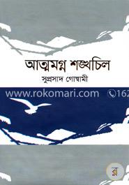 আত্মমগ্ন শঙ্খচিল image