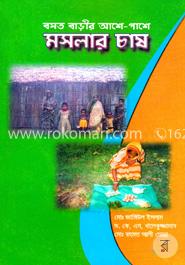 বসত বাড়ীর আশে-পাশে মসলার চাষ image