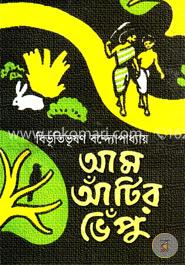 আম আঁটির ভেঁপু image